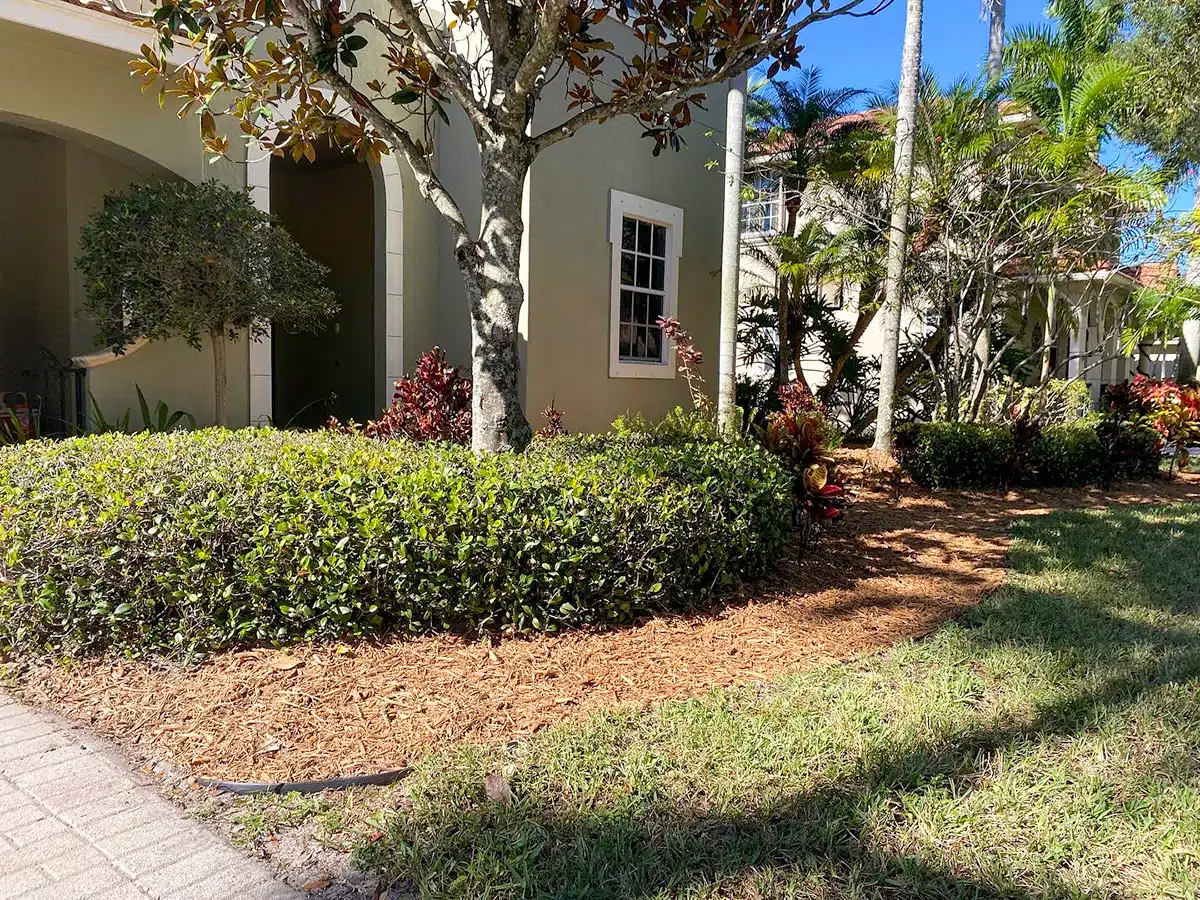 Highlight Reel Landscaping - Palm Beach County Florida