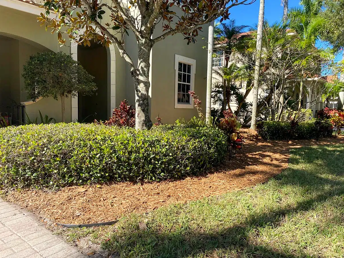 Highlight Reel Landscaping - North Palm Beach County Florida